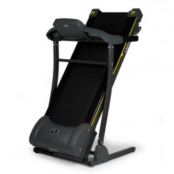  дорожка Diamond Fitness Audio 1.9-1